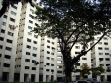 clementi-avenue-4 photo thumbnail #19